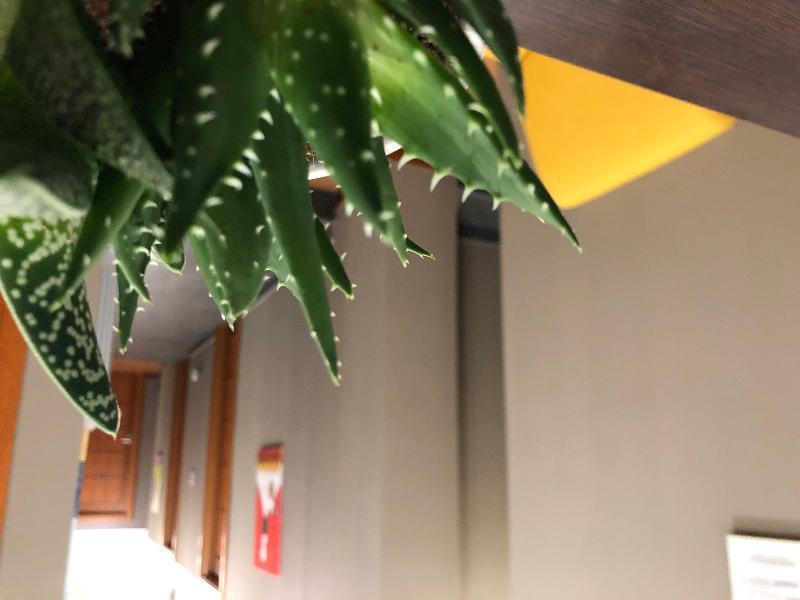 Piazza Carita Hotel Nápoly Kültér fotó